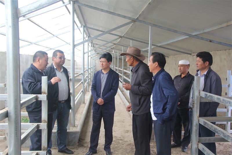 拟任副县长才本赴各乡镇调研分管部门
重点项目建设工作
