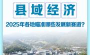 财经聚焦·地方两会经济热词｜县域经济，2025年各地瞄准哪些发展新赛道？