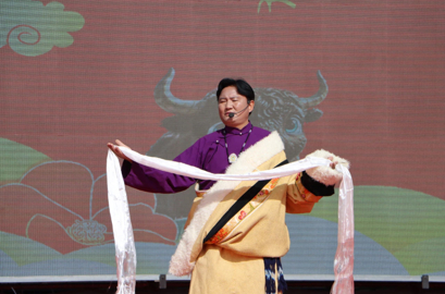 欢歌炫舞贺新春 团结奋进启新程——同德县2025年“人民大舞台”秀麻乡专场文艺汇演圆满落幕
