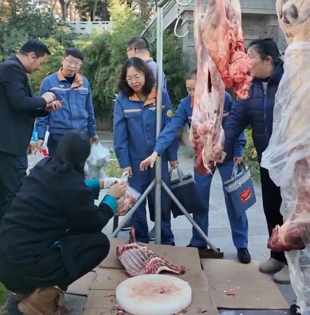 9e65d906a26af6b7bacfcd78c6e7537a