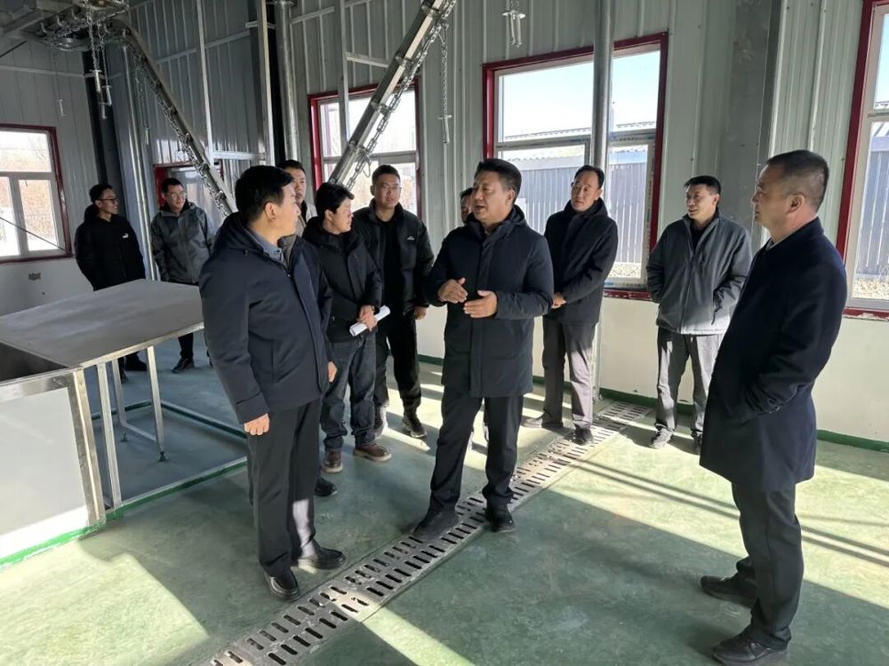 defcae2bfc36629864c8a0ee8b60c790