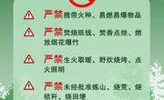 清明将至，一定做到“7个严禁”“6个要”！