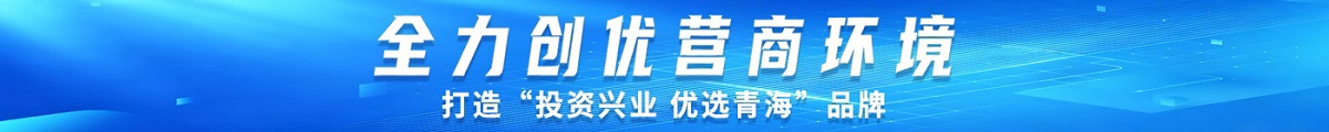 全力创优营商环境