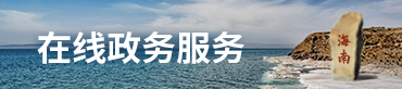 在线政务服务