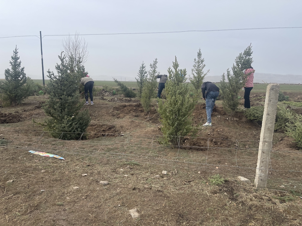 b4703e70e88255ec0e97aed0f767787