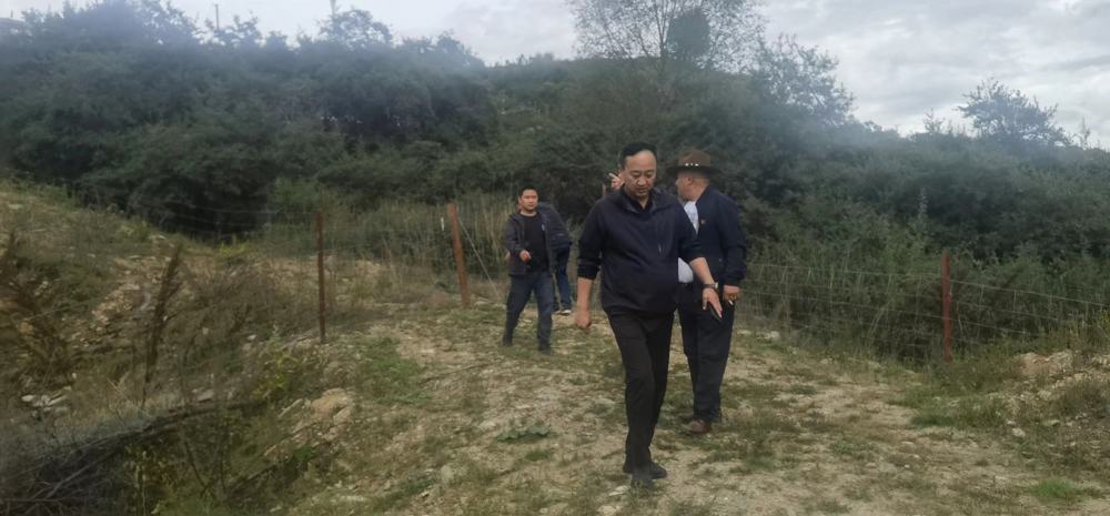 微信图片_20240912181142