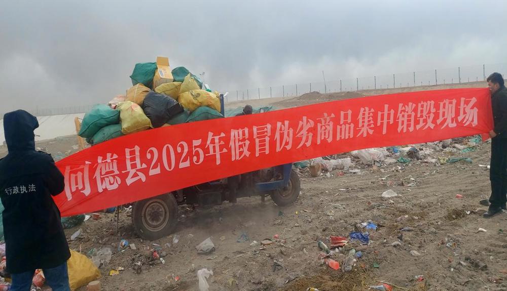 315图片2