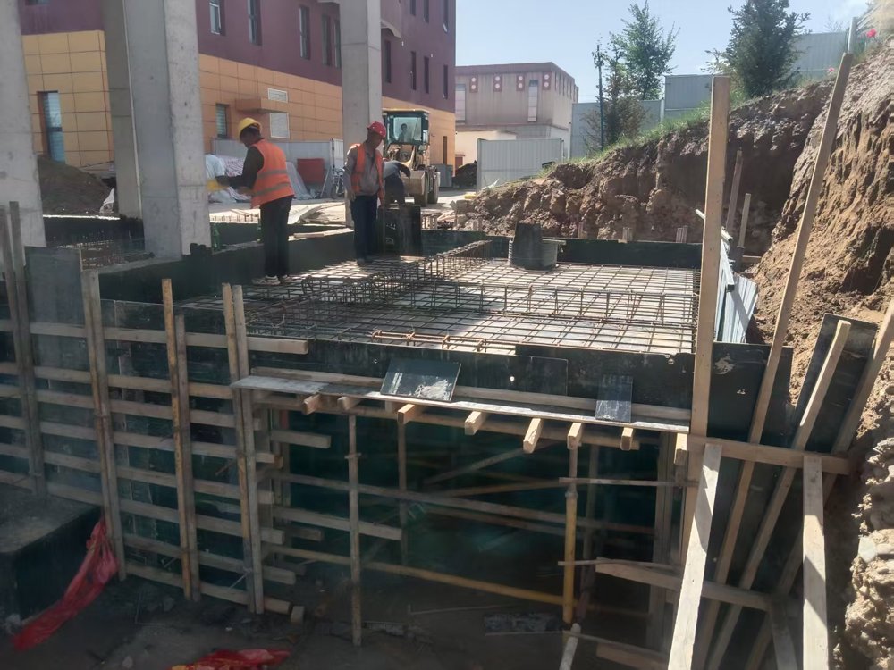 03cbab0792cf18d60a2c658a8051467