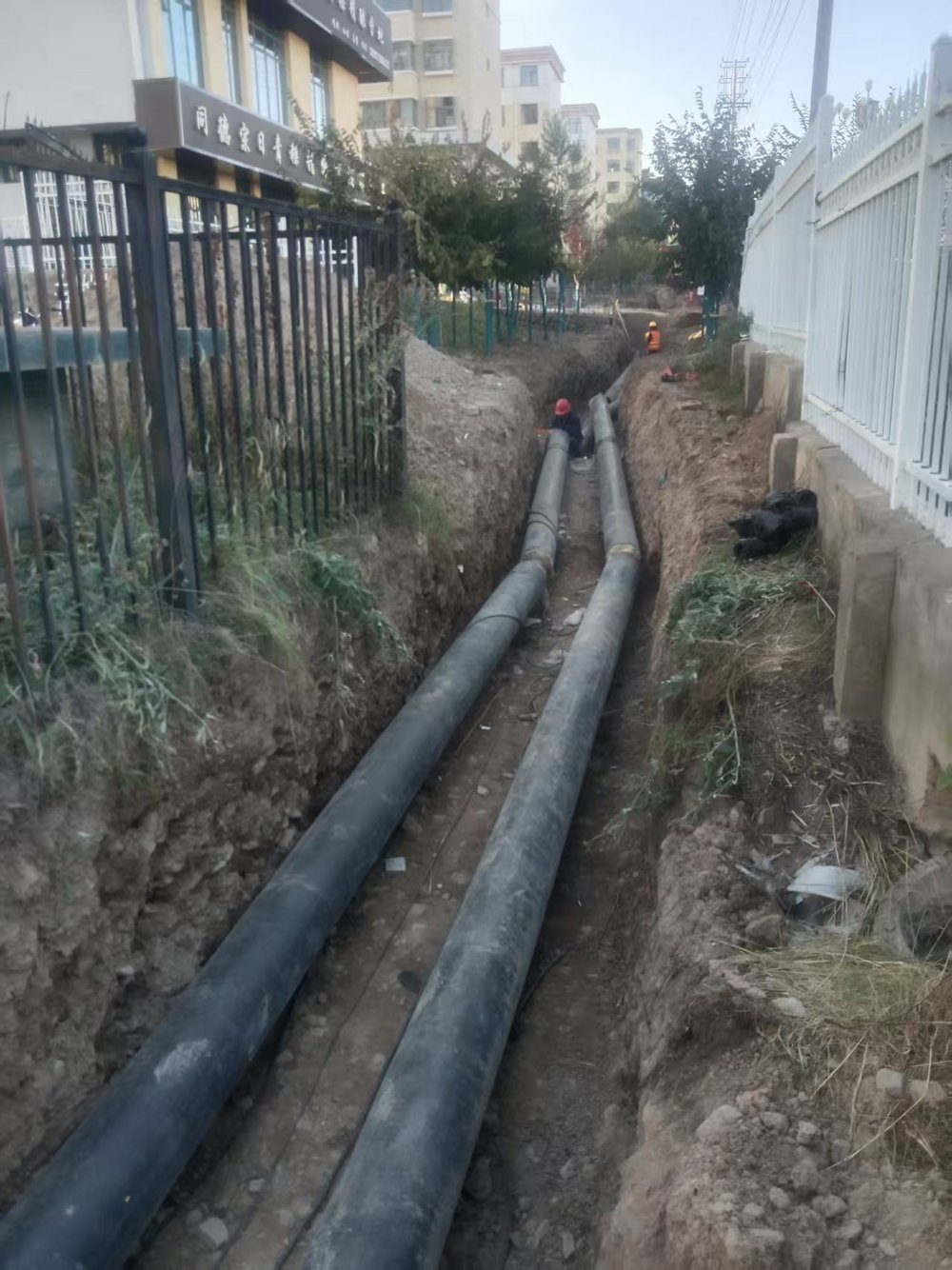 63179ece5e96c17dd5cdf284435c793