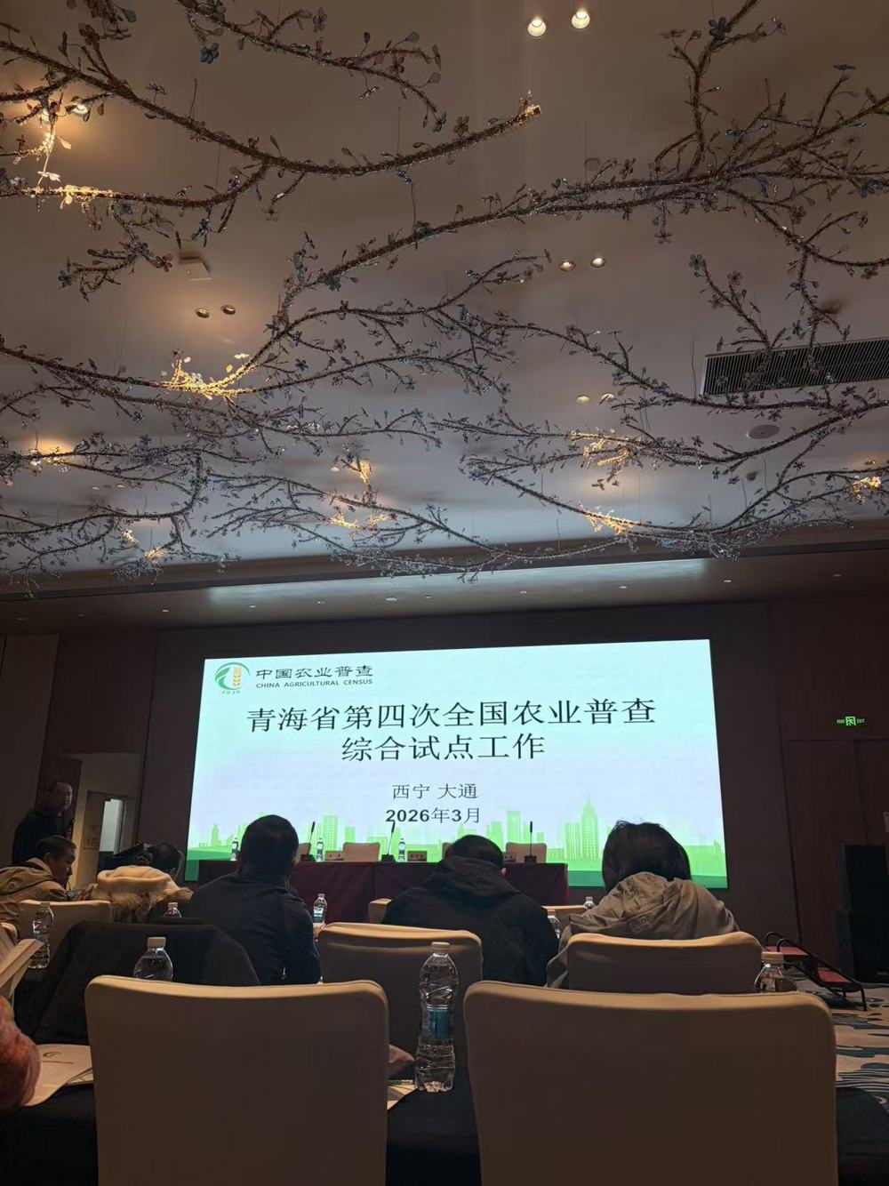 4d501f6399a3e10c3d9fabfbe3847e5f