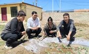【“十化”党建进行时】从“纸上”到“地上”——唐谷镇尤龙村“十化”党建催生田园新变